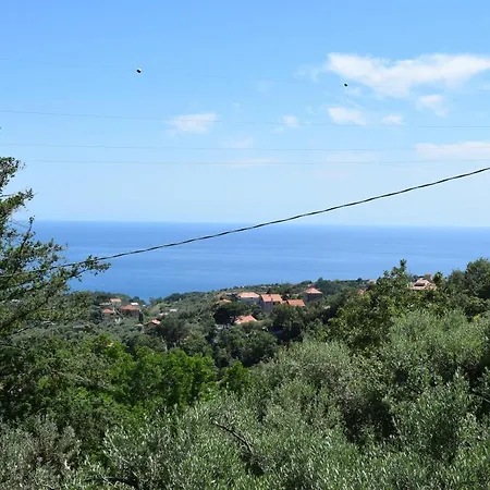 Tra Gli Ulivi Da Giacinta