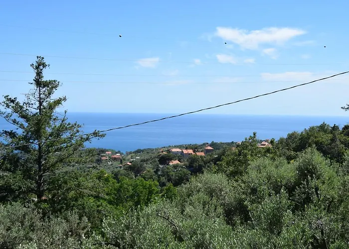 Tra Gli Ulivi Da Giacinta